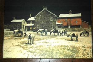 horses