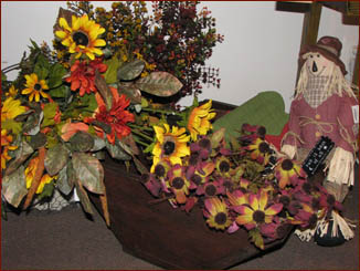 Fall flowers